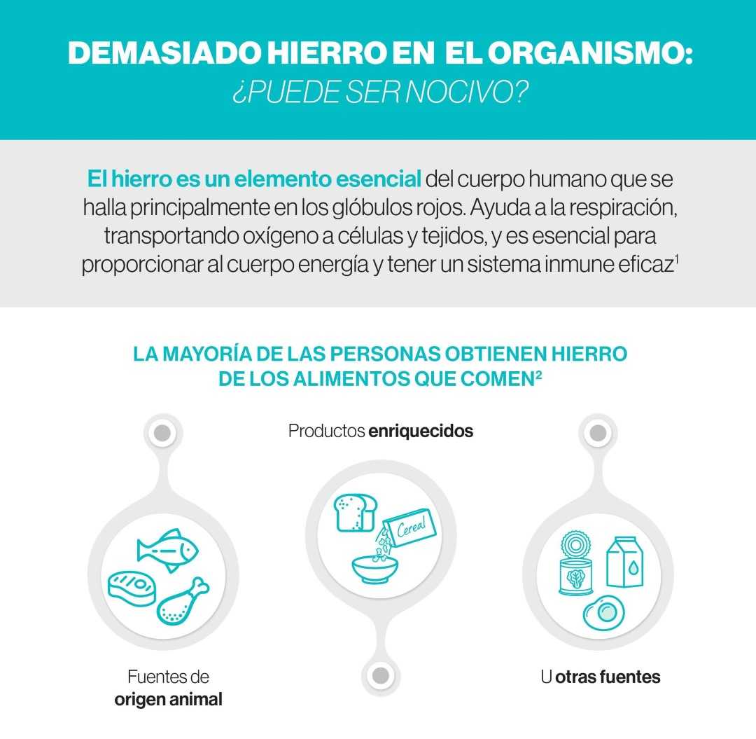 ¿Qué es la sobrecarga férrica crónica y sus causas?