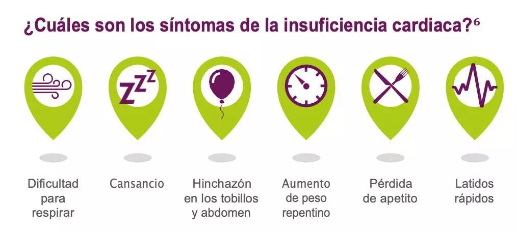 Insuficiencia Cardiaca Congestiva Qué Es Y Cuáles Son Sus Síntomas